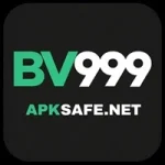 BV999 Game