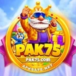 PAK75 Game