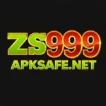 ZS999 Safe